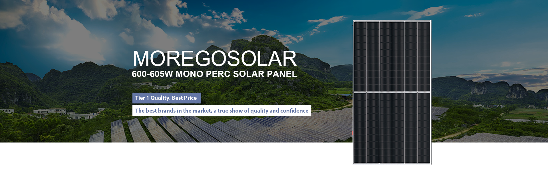 panel solar de alta potencia 600W