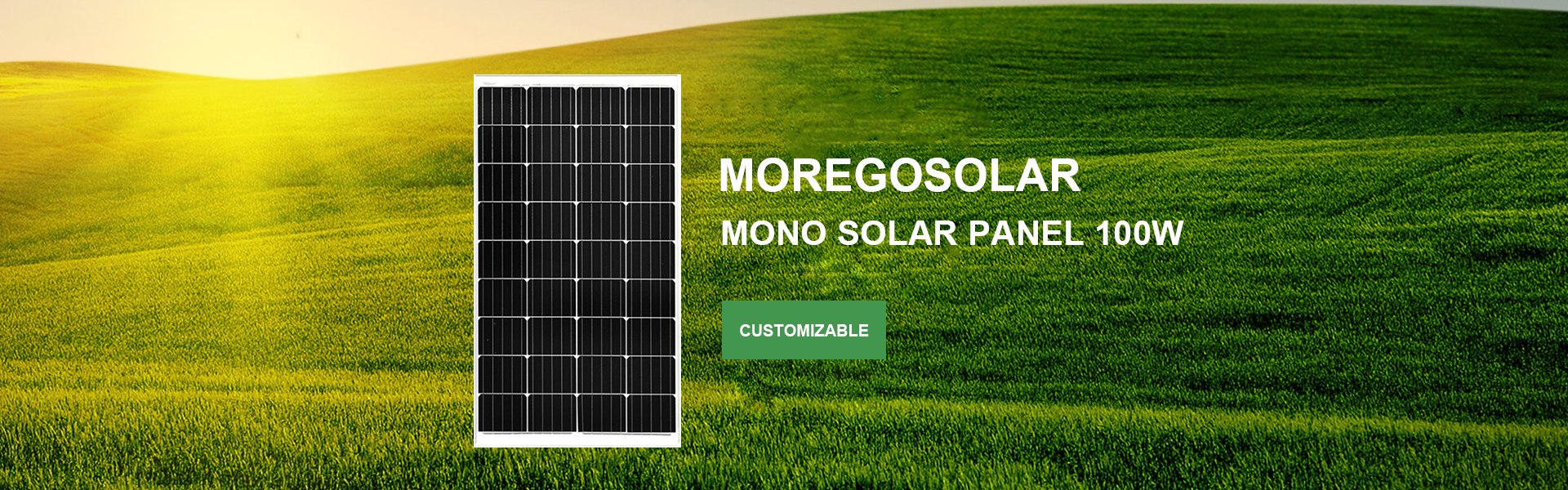 panel solar 100W mono