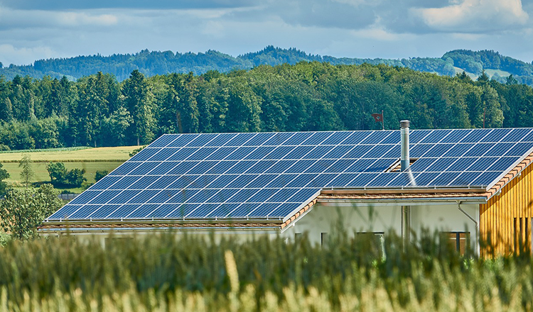 granja solar